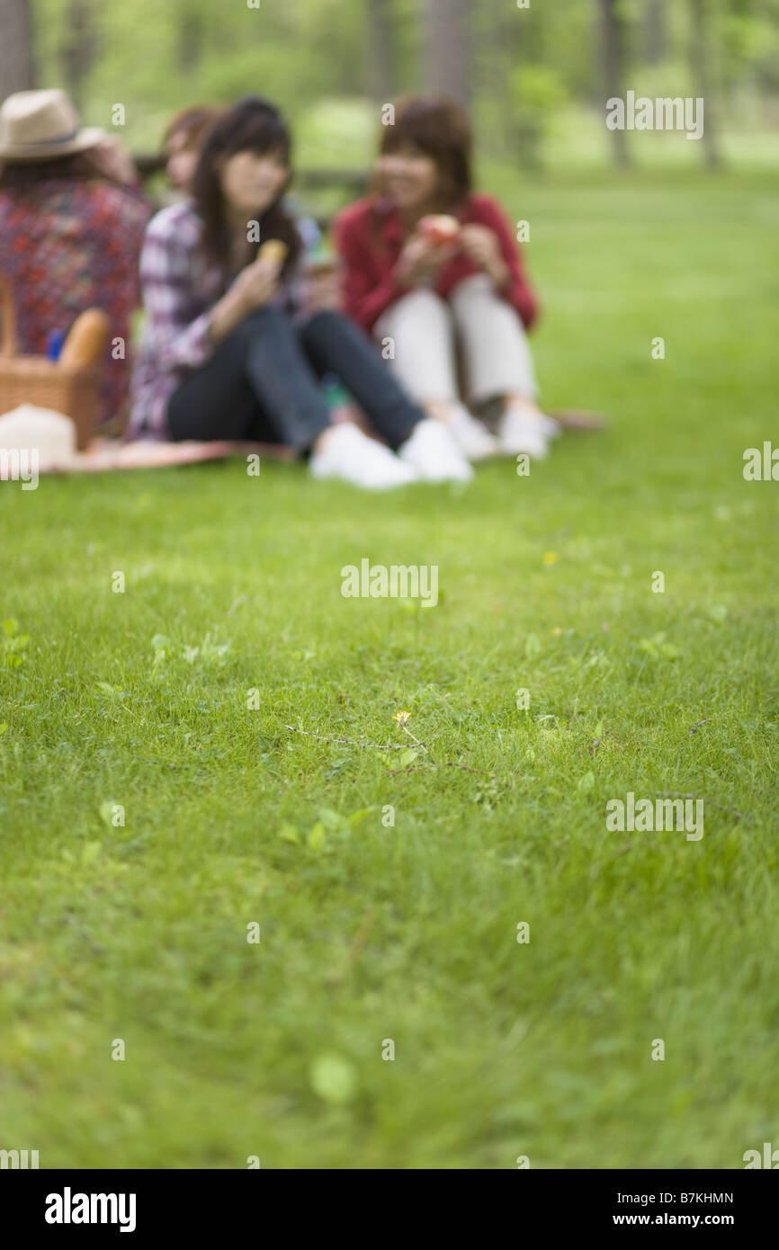 Men and Women Having a Picnic Stock Photo - Alamy