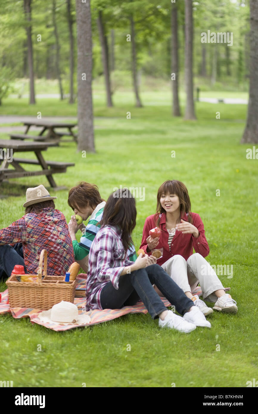 Men and Women Having a Picnic Stock Photo - Alamy