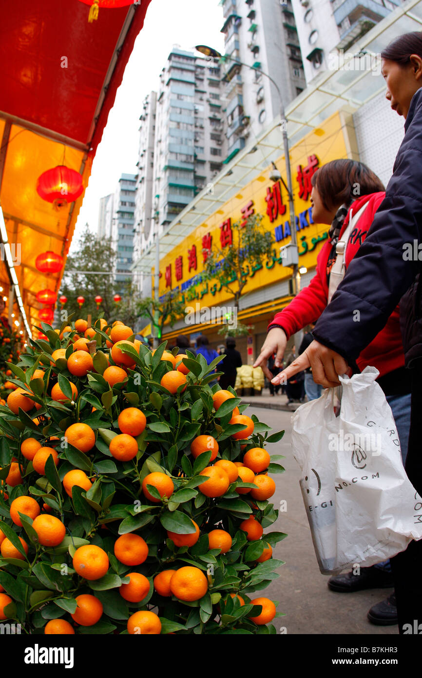 Shoppers Inspecting lucky mandarin orange plants at flower market for