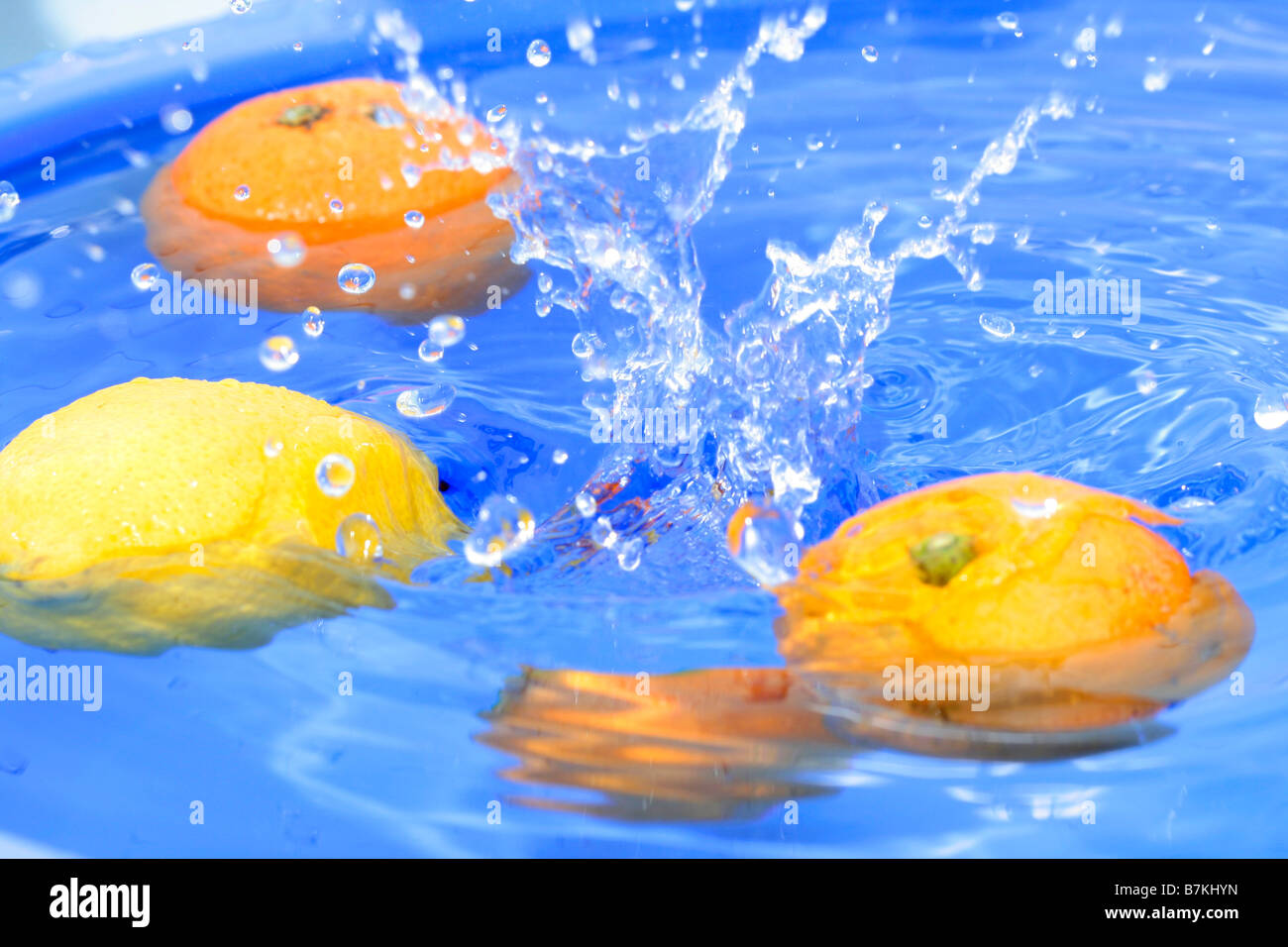 Oranges and lemons in water Stock Photo Alamy