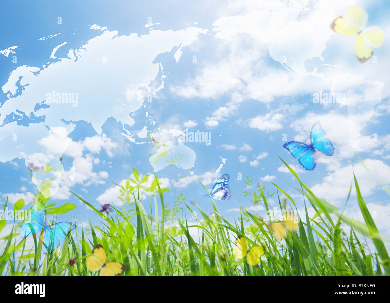 Blue sky and glassland Stock Photo Alamy