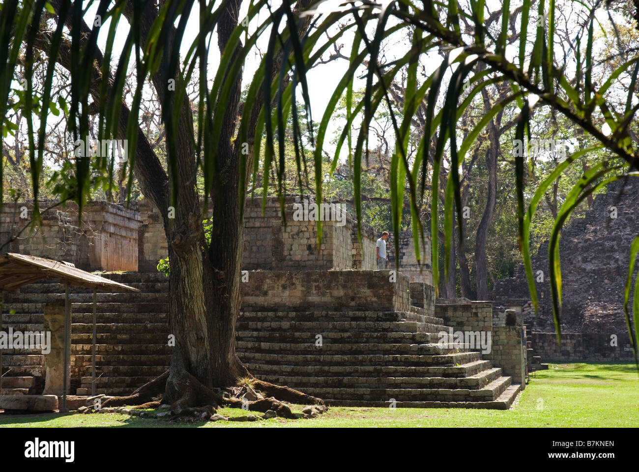 Honduras, Copan, Maya Ruins of Copan, a UNESCO World Heritage Site. Stock Photo