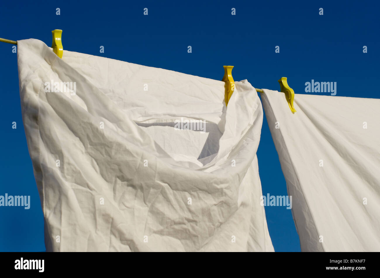 White Cotton Pillowcases Drying On Washing Line Stock Photo