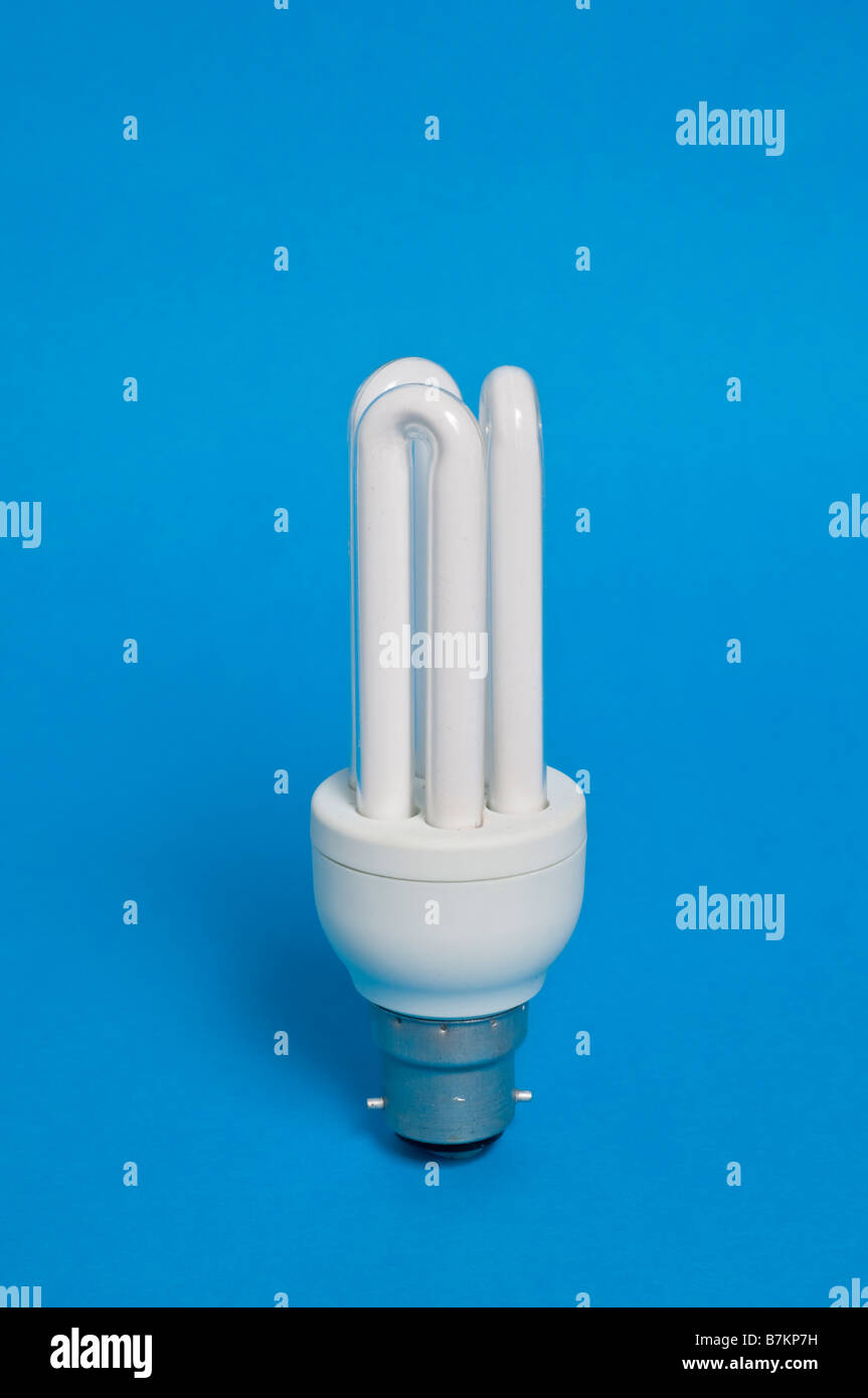 A close up of a low energy domestic lightbulb for saving electricity  on a blue background Stock Photo