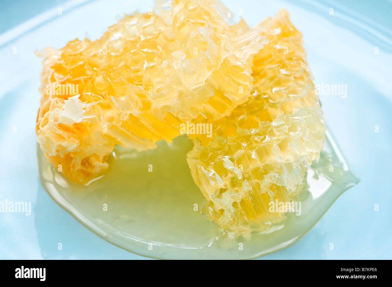 Fresh honey in honeycomb on a plate Stock Photo