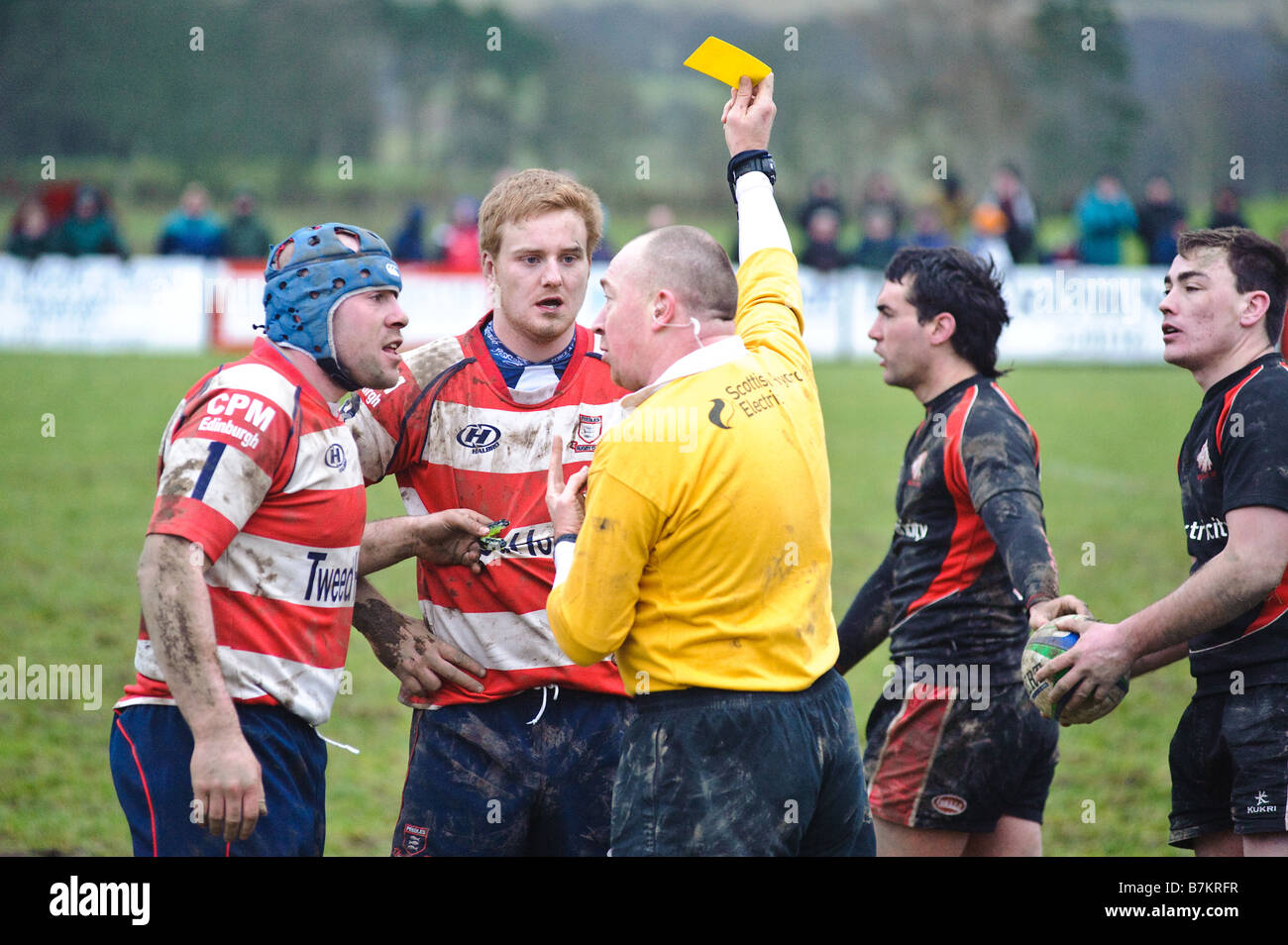 Scottish Rugby Biggar v Peebles Yellow Card! Stock Photo Alamy
