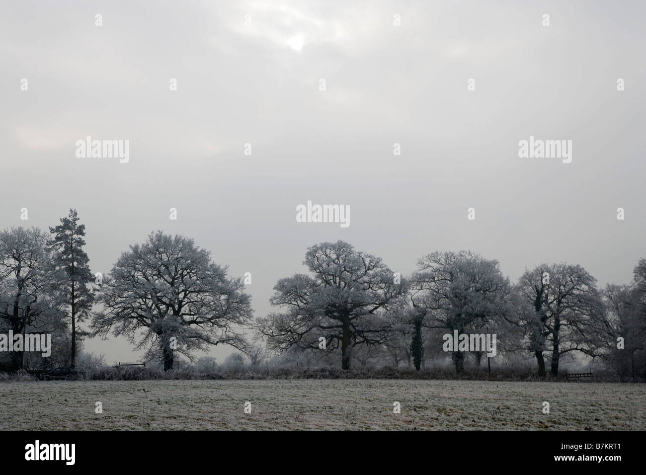 Shipley field hires stock photography and images Alamy