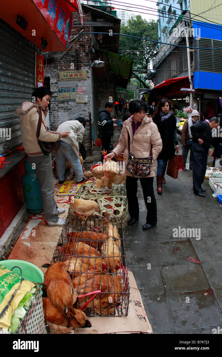 Unregulated peasant sells uninspected poultry in street market as death toll rises from the H5N1bir flu virus in China Stock Photo