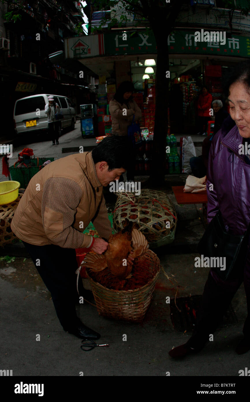 Unregulated peasant sells uninspected poultry in street market as death toll rises from the H5N1bir flu virus in China. Stock Photo