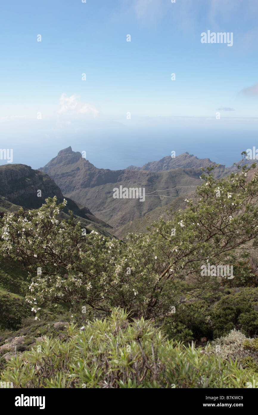 View from the Cumbres de Bolico down the Masca gorge on Tenerife Canary Islands Spain Stock Photo
