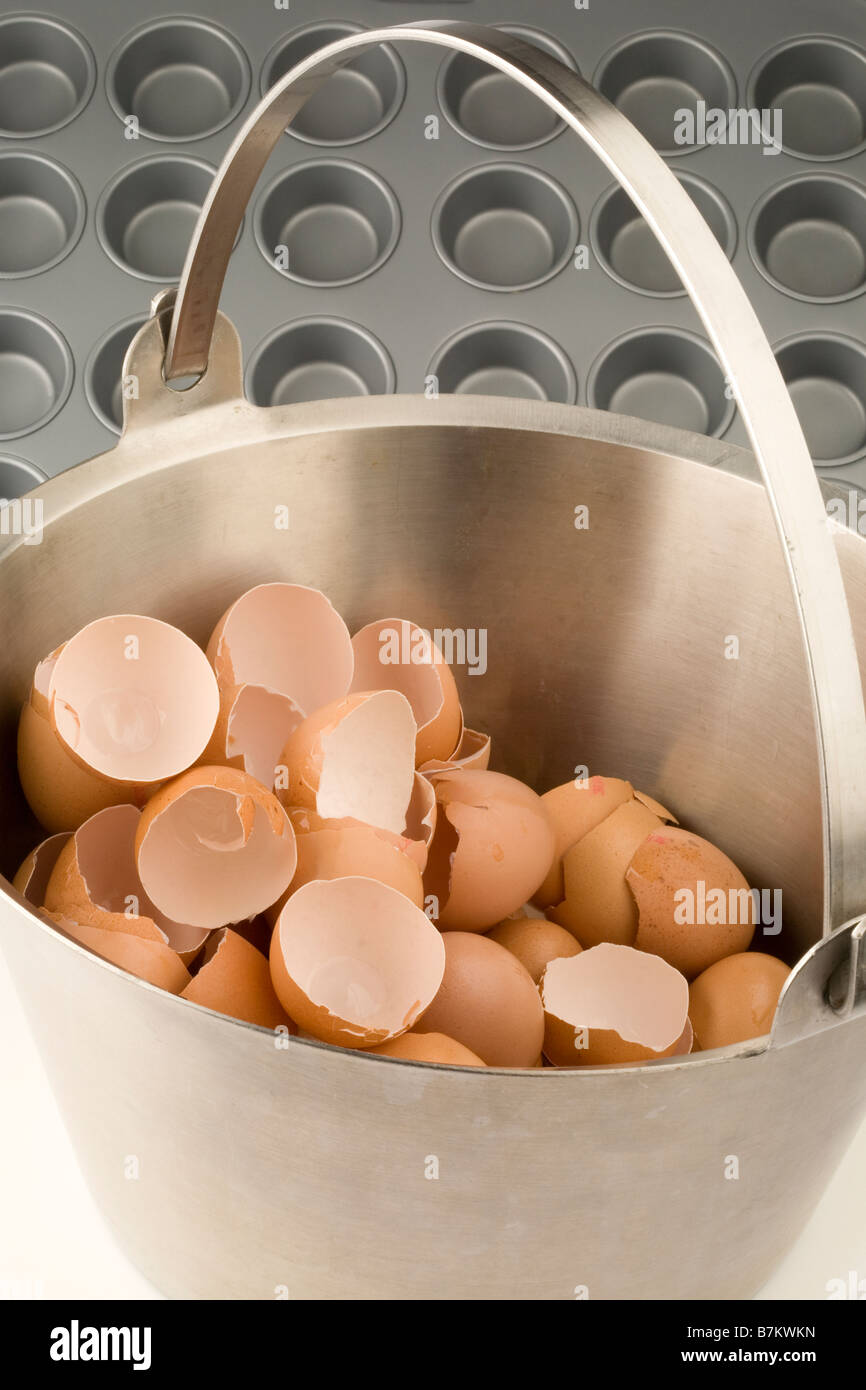 Eggshells in a stainless steel bucket Stock Photo