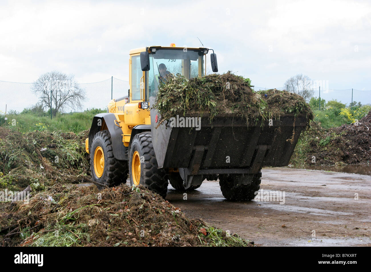 Green Waste Recycling at Agrivert in Chipping Norton Oxfordshire Stock