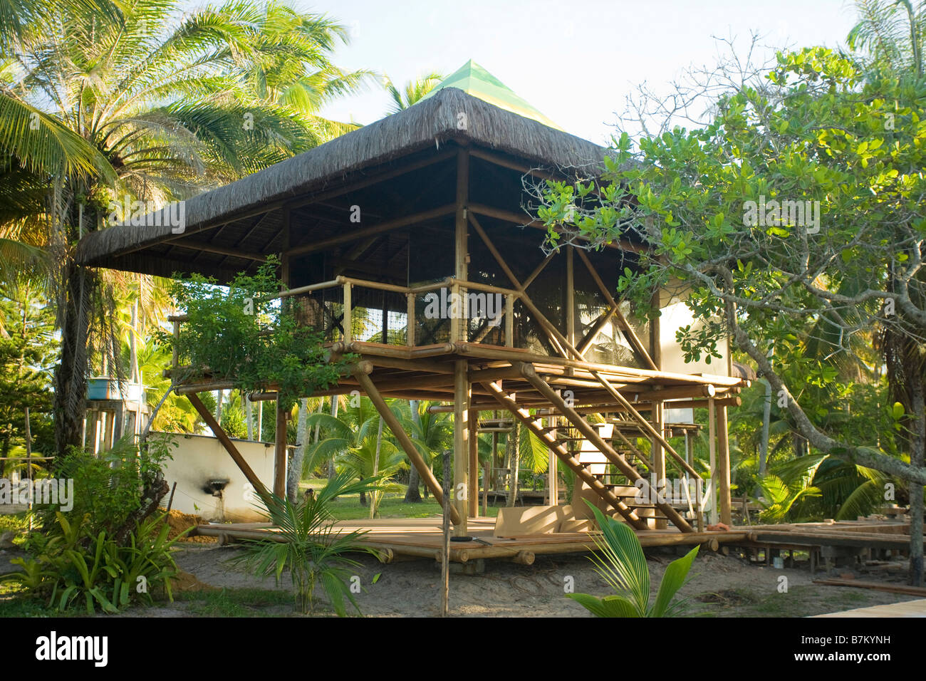 Rustic wooden beach house on stilts among palm trees in Brazil Stock