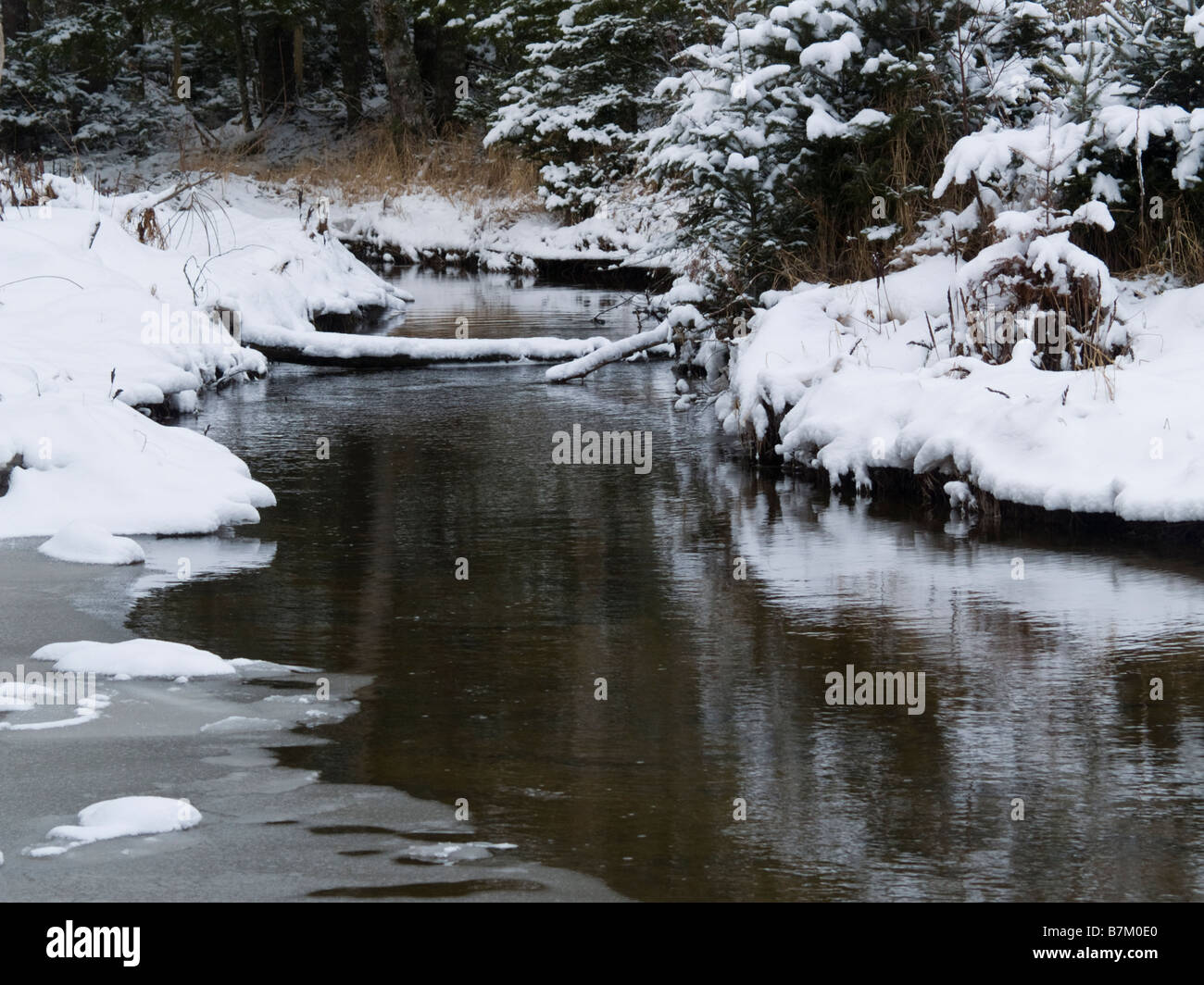 Winter beauty at the creek - Halifax, Nova Scotia, Canada Stock Photo