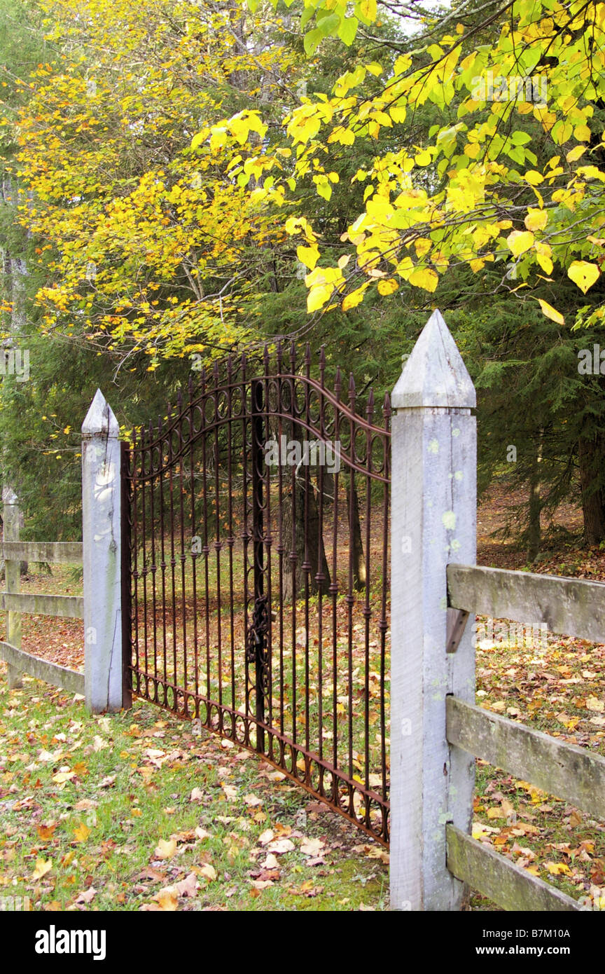 Steel farm gate open hi-res stock photography and images - Alamy