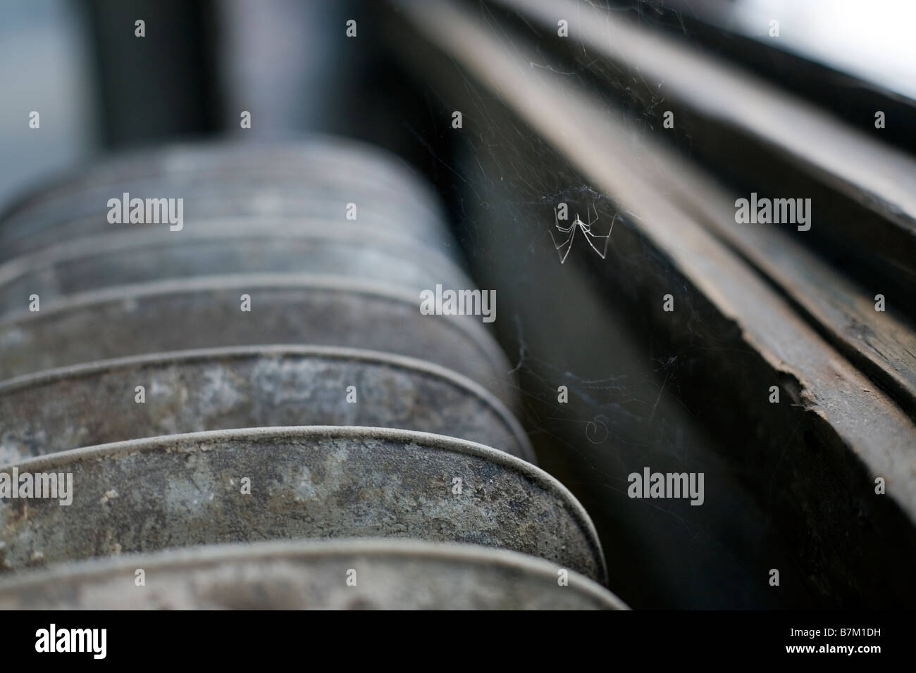 Spider in it's web by a window Stock Photo - Alamy