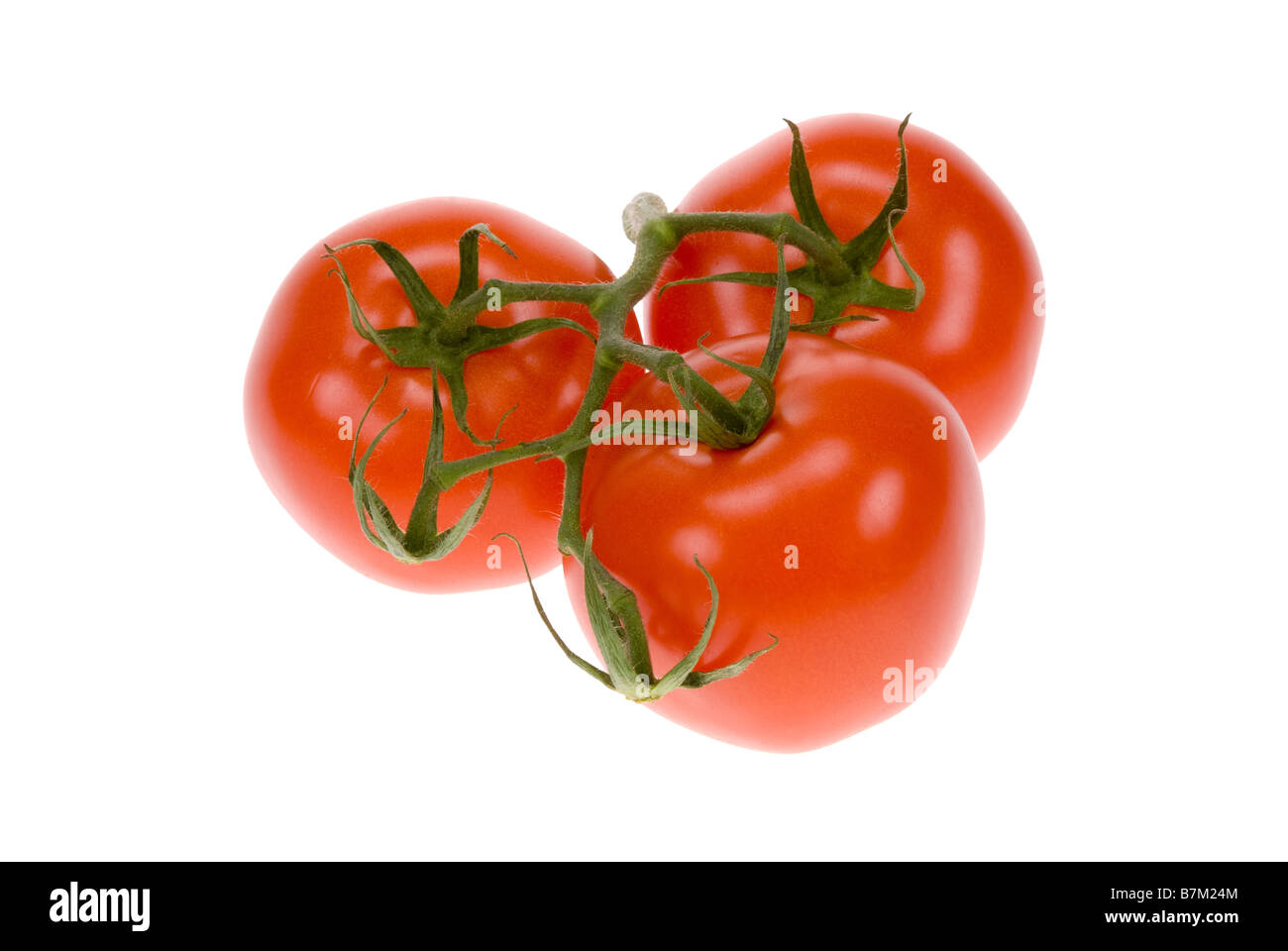 fresh bunch of tomatos isolated on a white background Stock Photo - Alamy