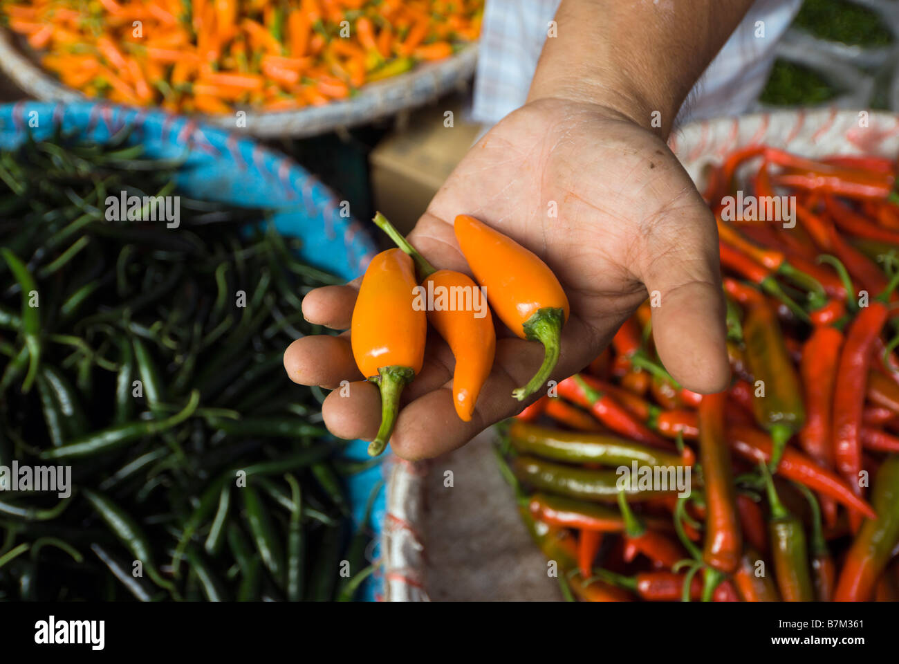 Yellow chillies hi-res stock photography and images - Alamy
