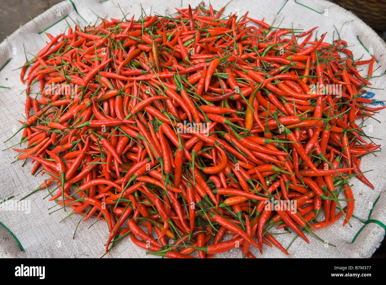 Detail of thai chillies in bangkok market hires stock photography and