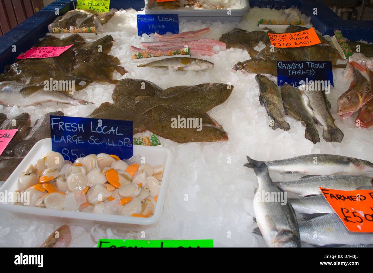 Fishmonger Fishmongers Fresh Fish Counter Display Stock Photo