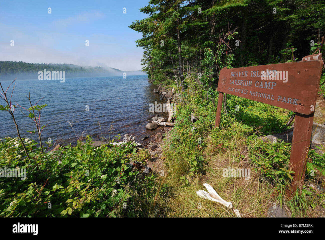 Campground On Isle Royale Stock Photo 21955022 Alamy