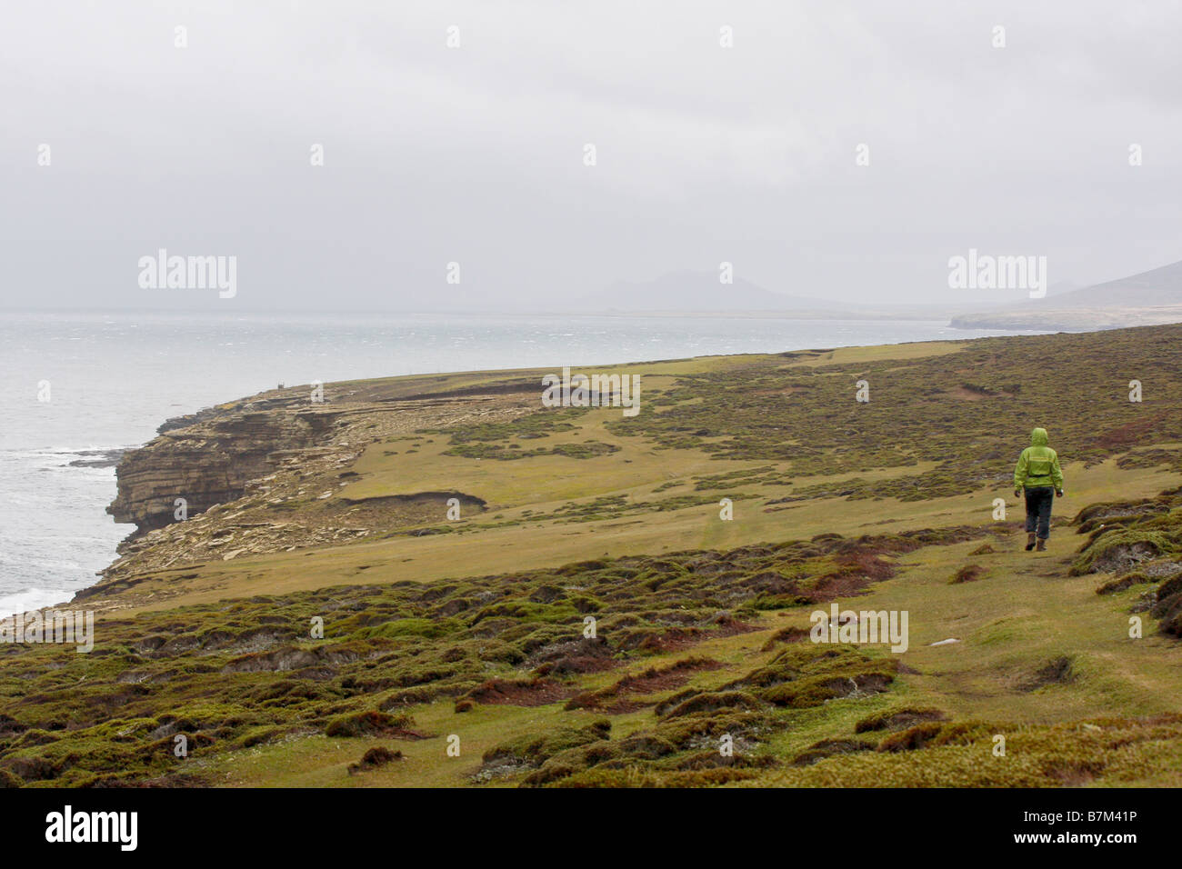 Rookery Saunders Island bird colony cottage, trail along ocean