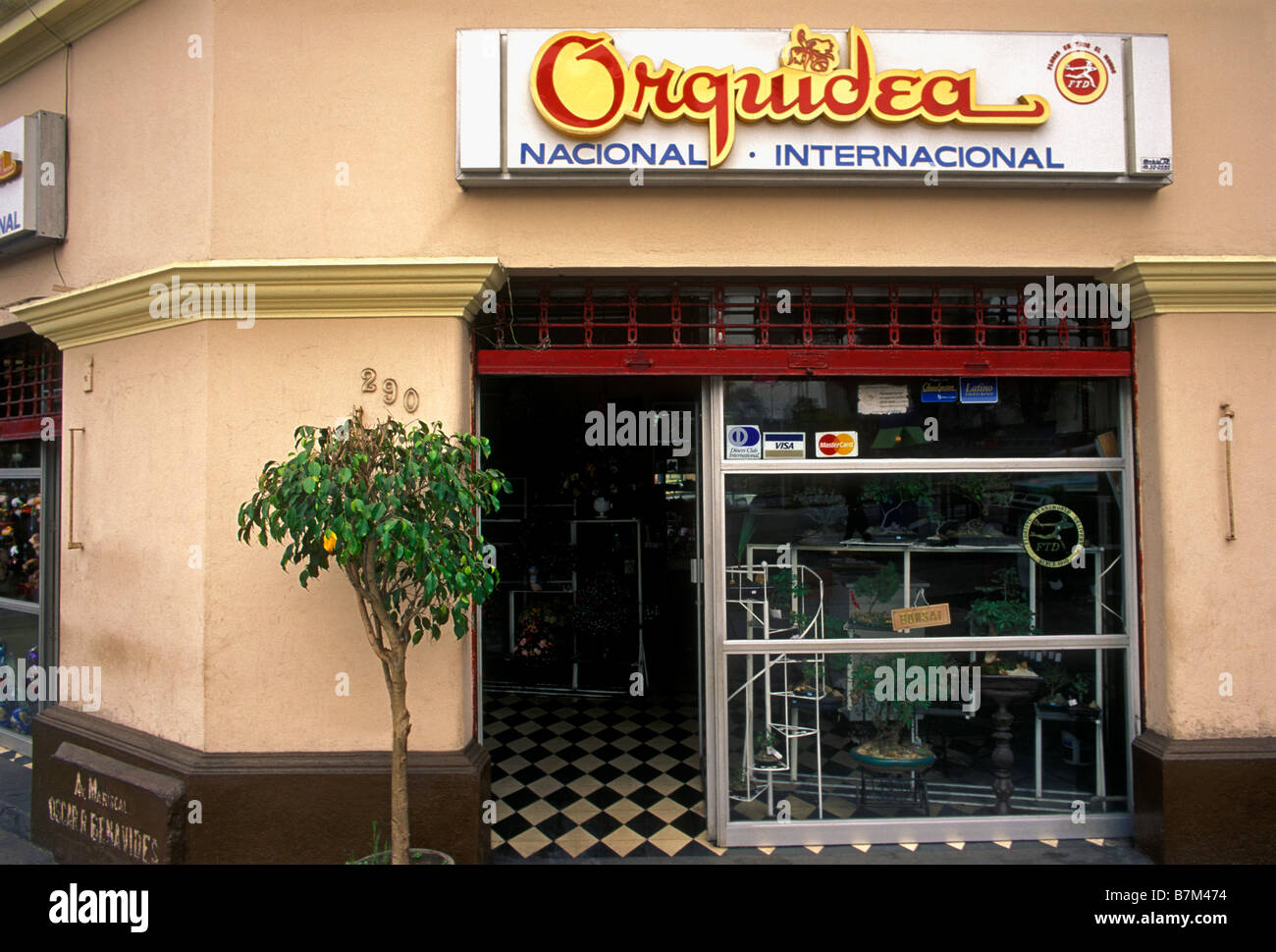 flower shop, florist, Orquidea, Miraflores district, Lima, Lima Province, Peru, South America Stock Photo