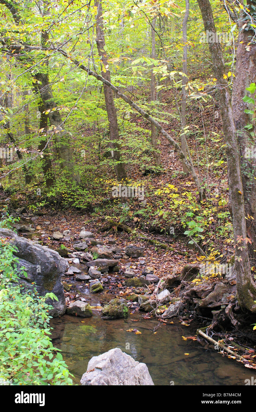 Rocky stream tree trunk hi-res stock photography and images - Alamy