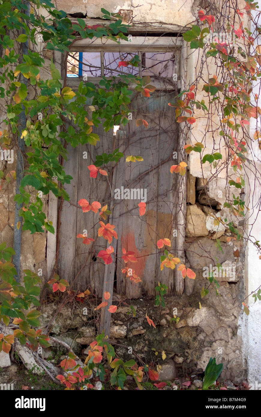 Derelict doorway with Autumn leaves Stock Photo
