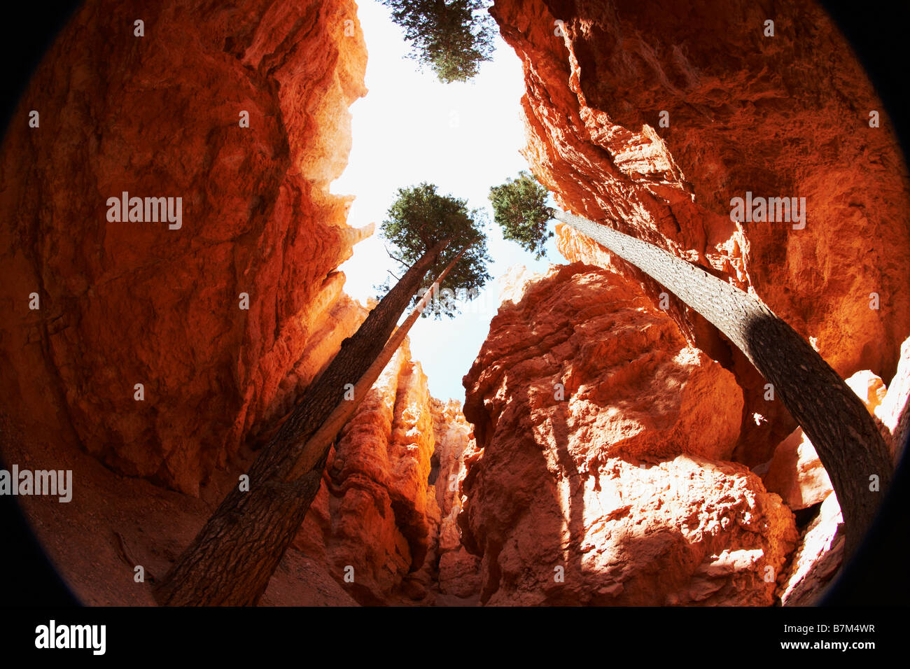 Wall street trail hires stock photography and images Alamy