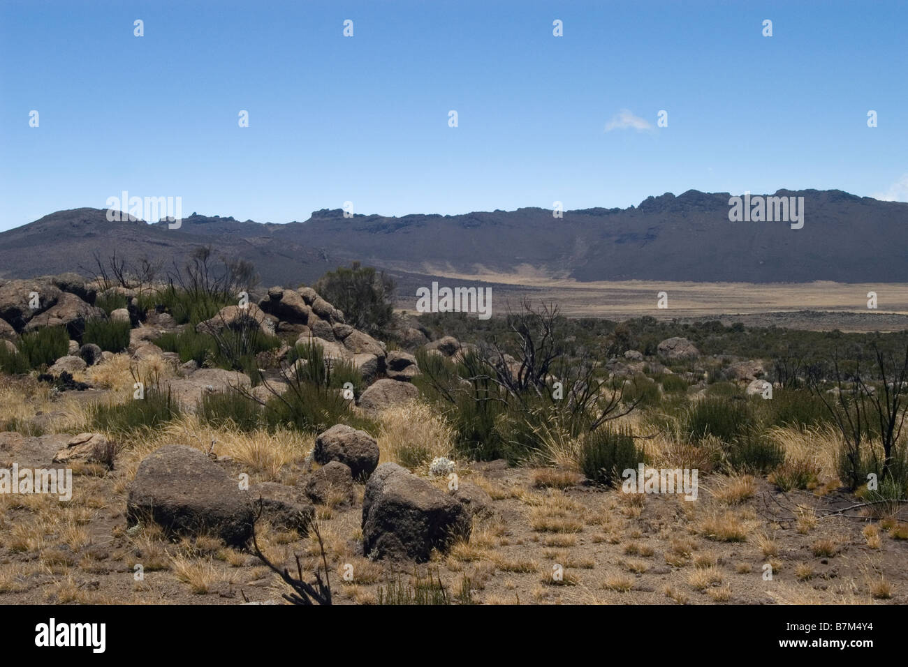 Shira ridge Kilimanjaro Lemosho Route view between Shira 1 to Shira 2 Camp Tanzania Stock Photo
