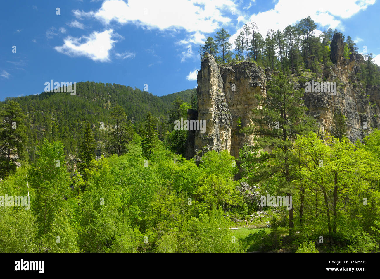 Spearfish Canyon, South Dakota Stock Photo Alamy