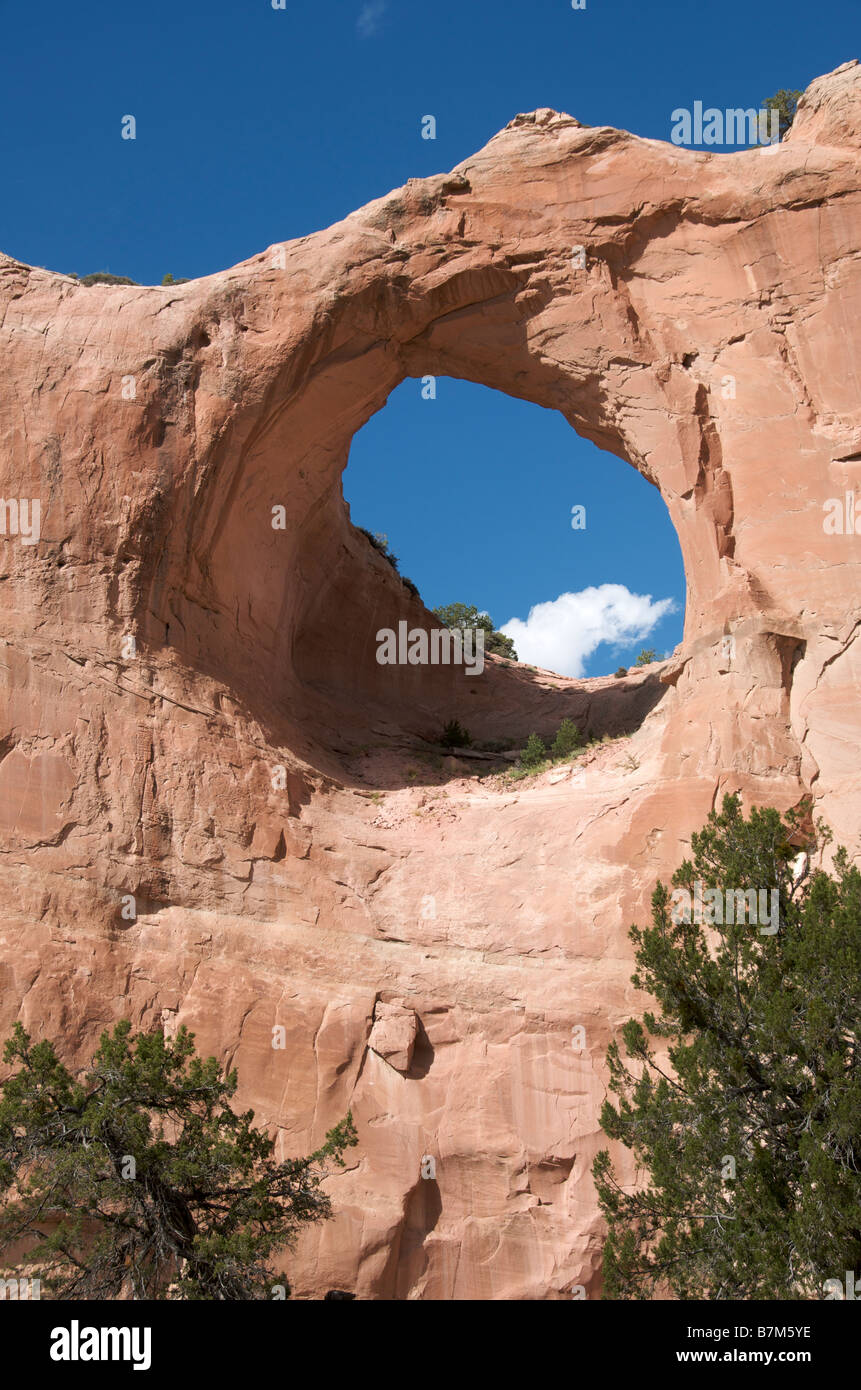 Window Rock arch Arizona USA Stock Photo Alamy