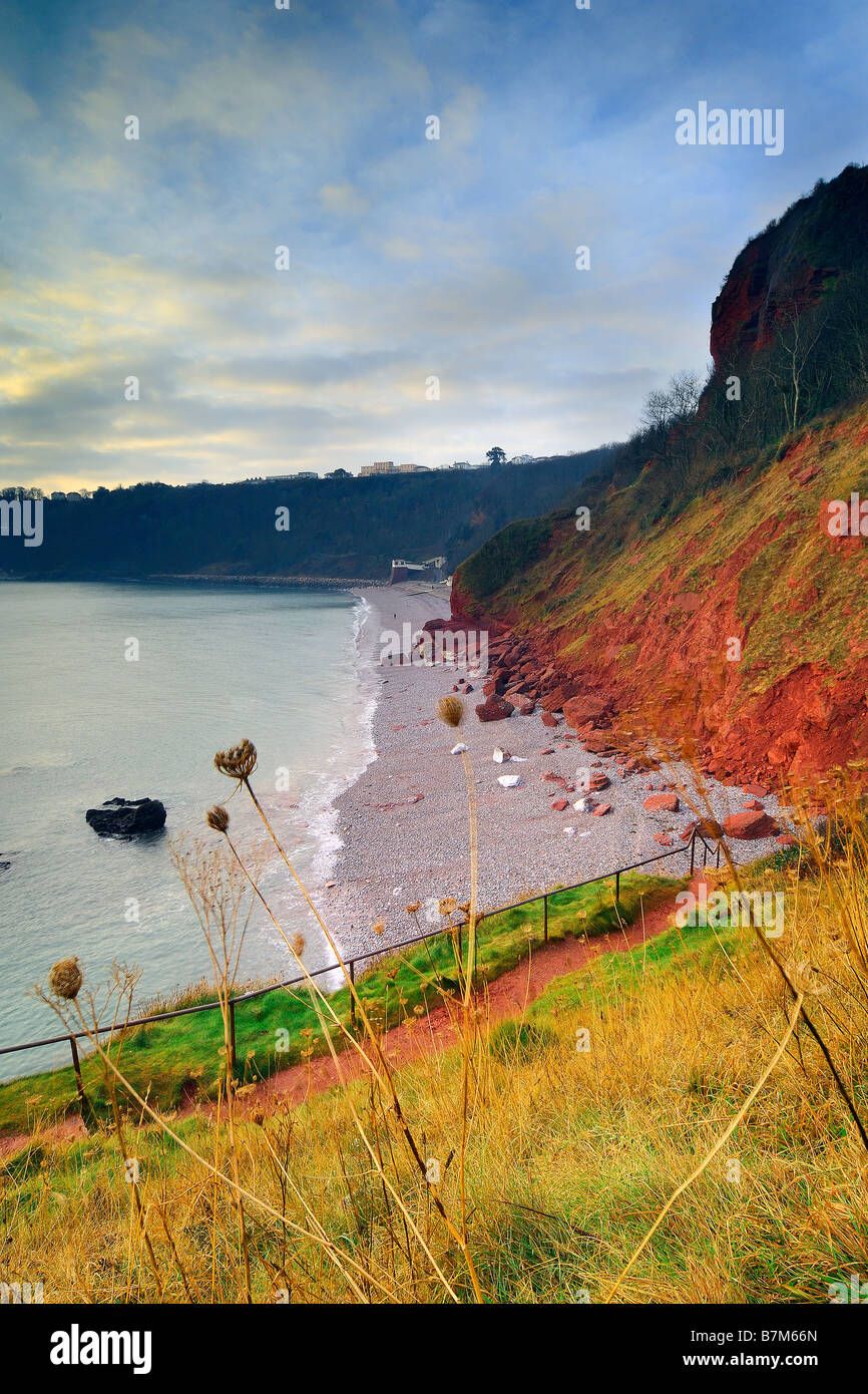 Overlooking Little Oddicombe Beach in Torquay in early morning looking South along the coast Stock Photo