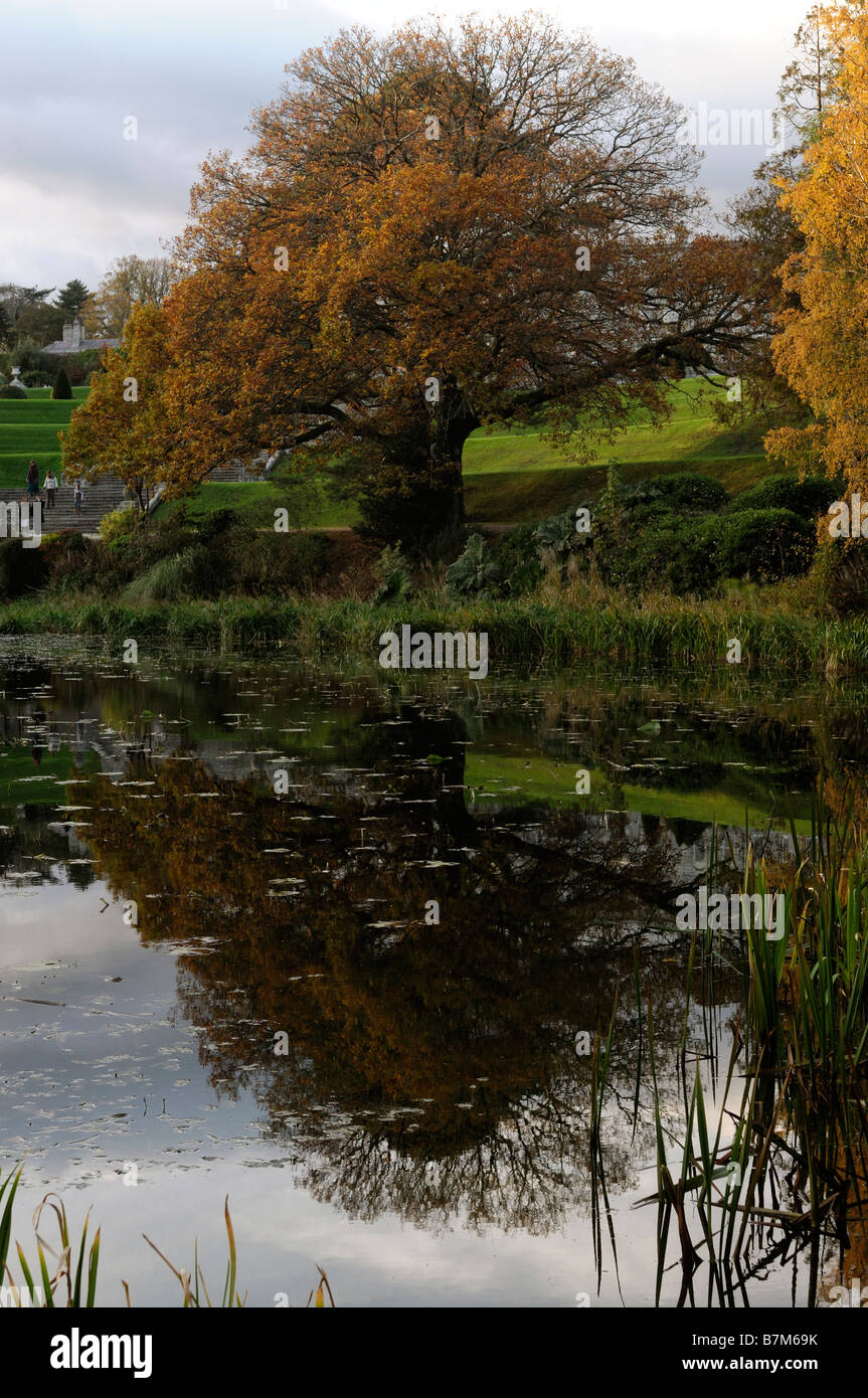 powerscourt gardens reflected reflection lake mirror image mirrored