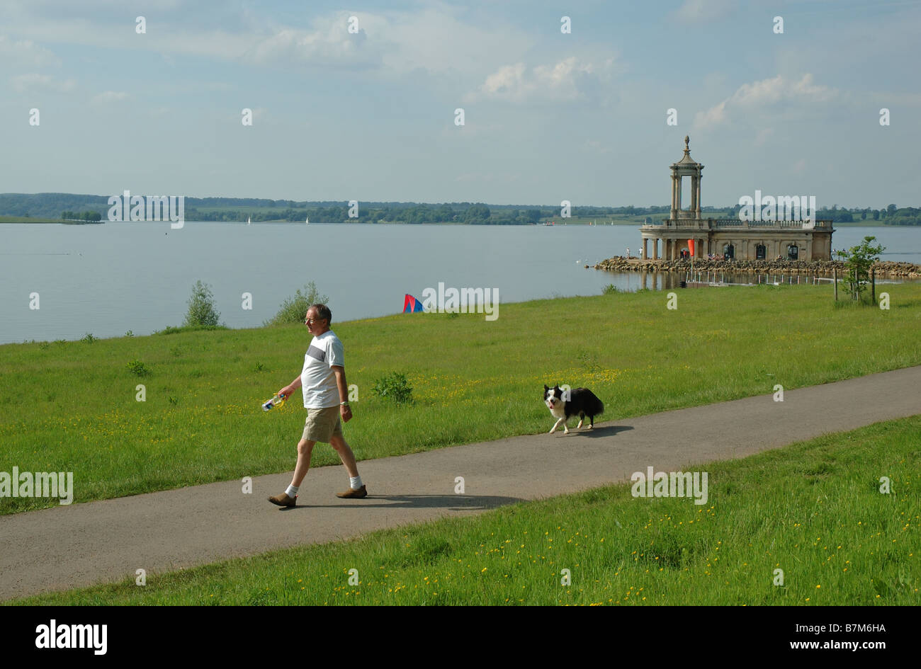 man walking dog, Rutland Water, Rutland, England, UK Stock Photo Alamy