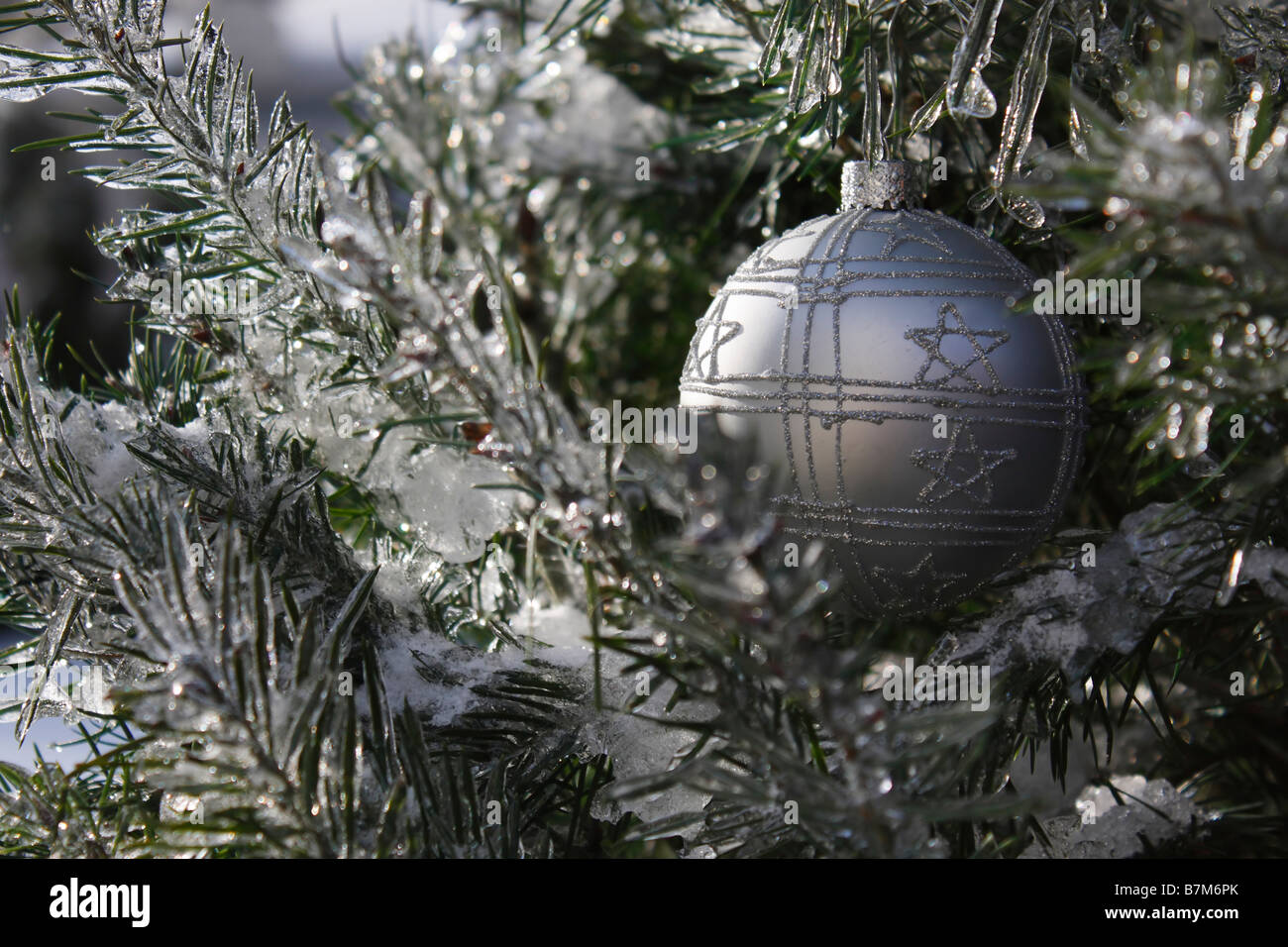 Frosty Christmas silver ball hanging on a frozen branch of a tree outside in Winter nature nobody closeup from front horizontal hi-res Stock Photo