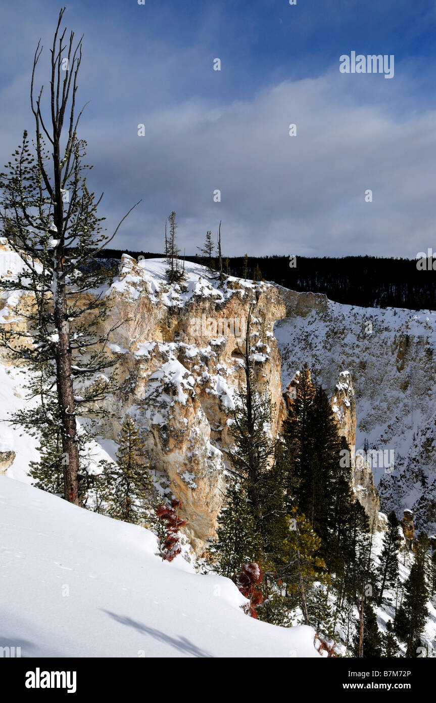 Rocky wall of the Canyon. The Yellowstone National Park, Wyoming, USA. Stock Photo