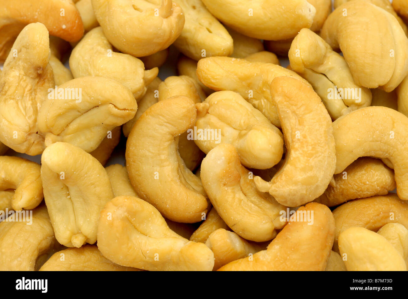 Roasted Cashew Nuts Stock Photo