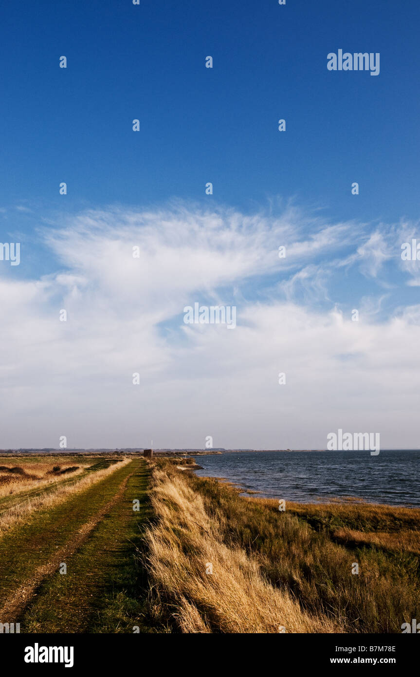 The sea wall on the Blackwater Estuary in Essex. Stock Photo