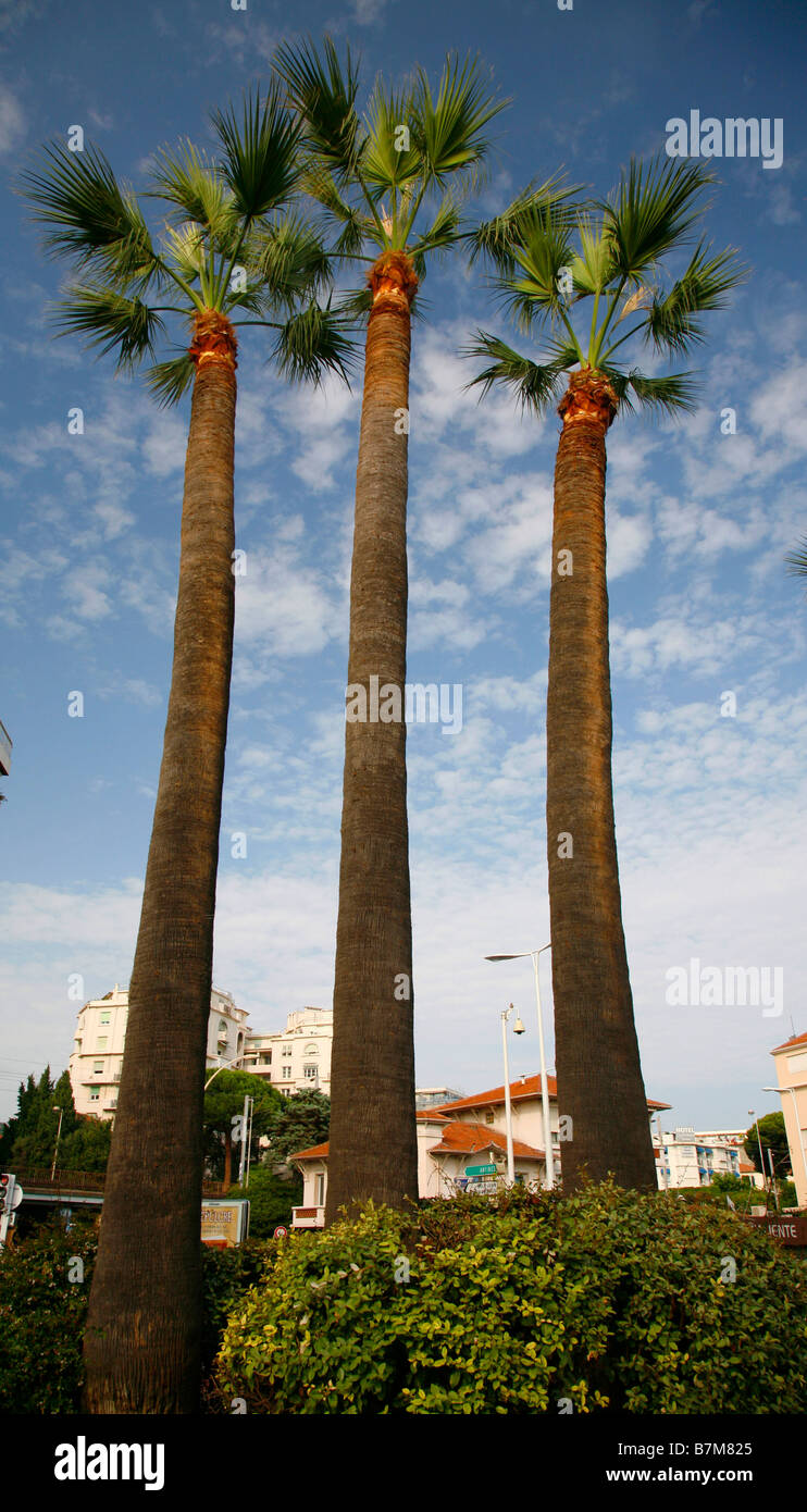 Three amigos hi-res stock photography and images - Alamy