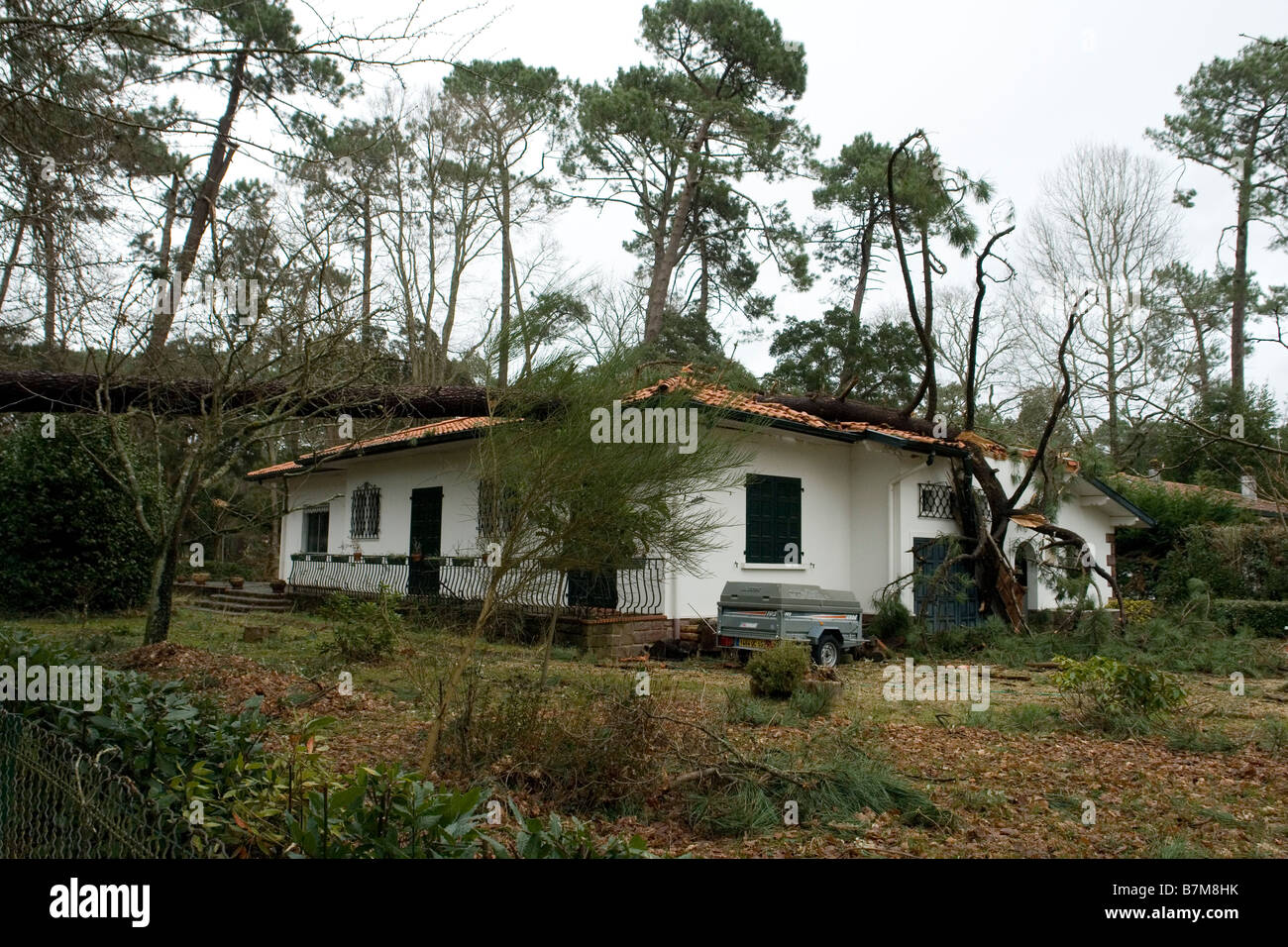 Damages caused by the Klaus tempest in South Western France. Dégâts causés par la tempête Klaus dans le Sud-Ouest de la France. Stock Photo