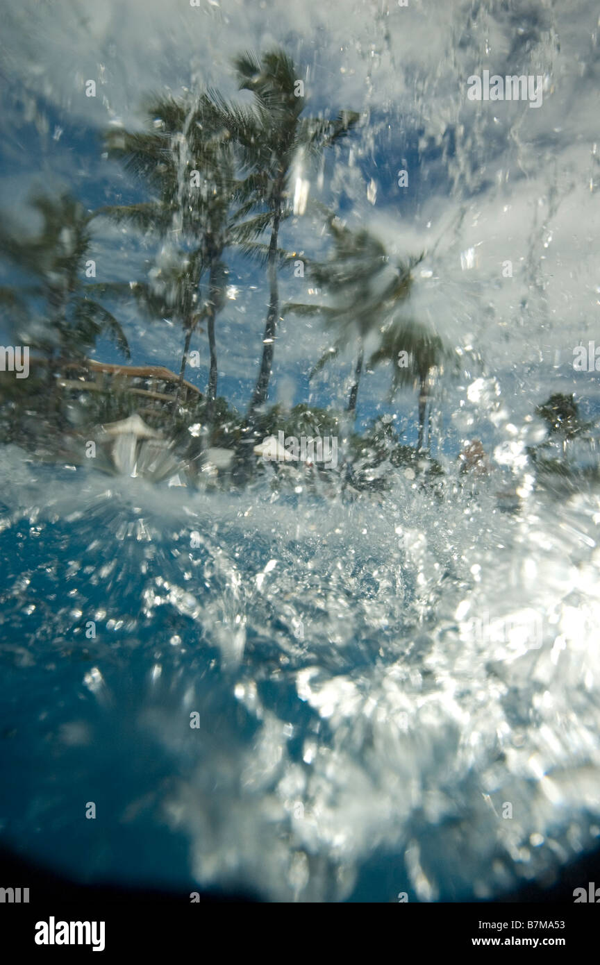 Water falling from palm trees hi-res stock photography and images - Alamy