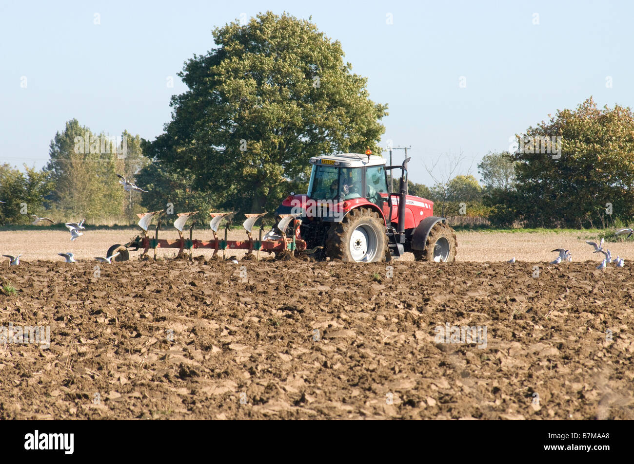 Massey Ferguson 6480 tractor ploughing a field Stock Photo