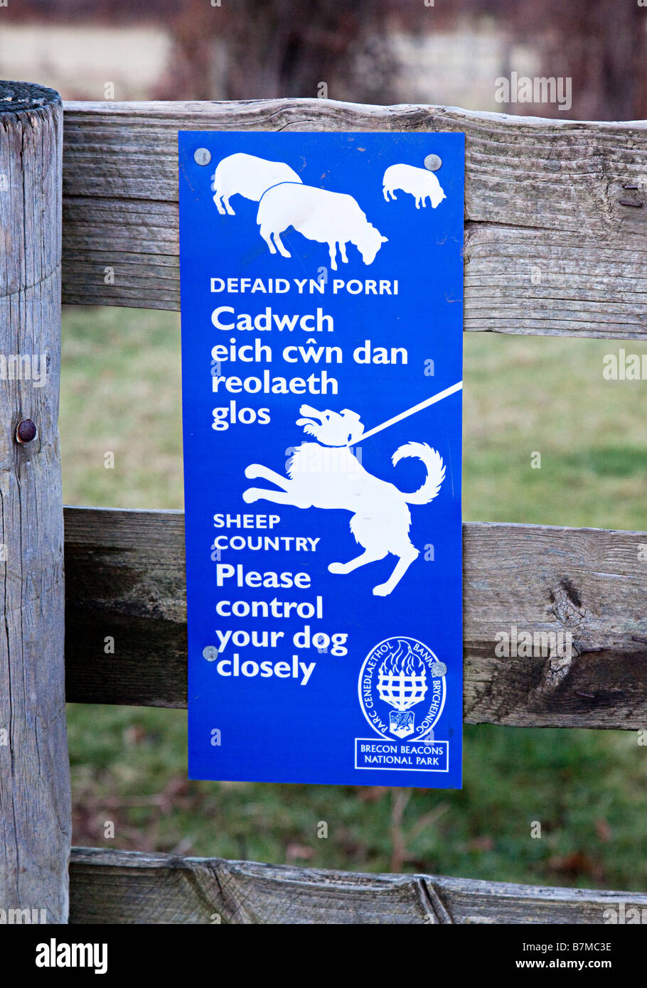 Bilingual Brecon Beacons national park warning sign to keep dogs on