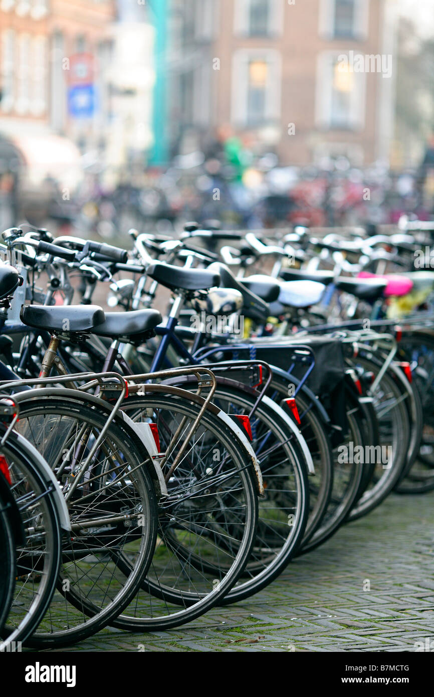 Rows of dutch bicycles in Holland Stock Photo