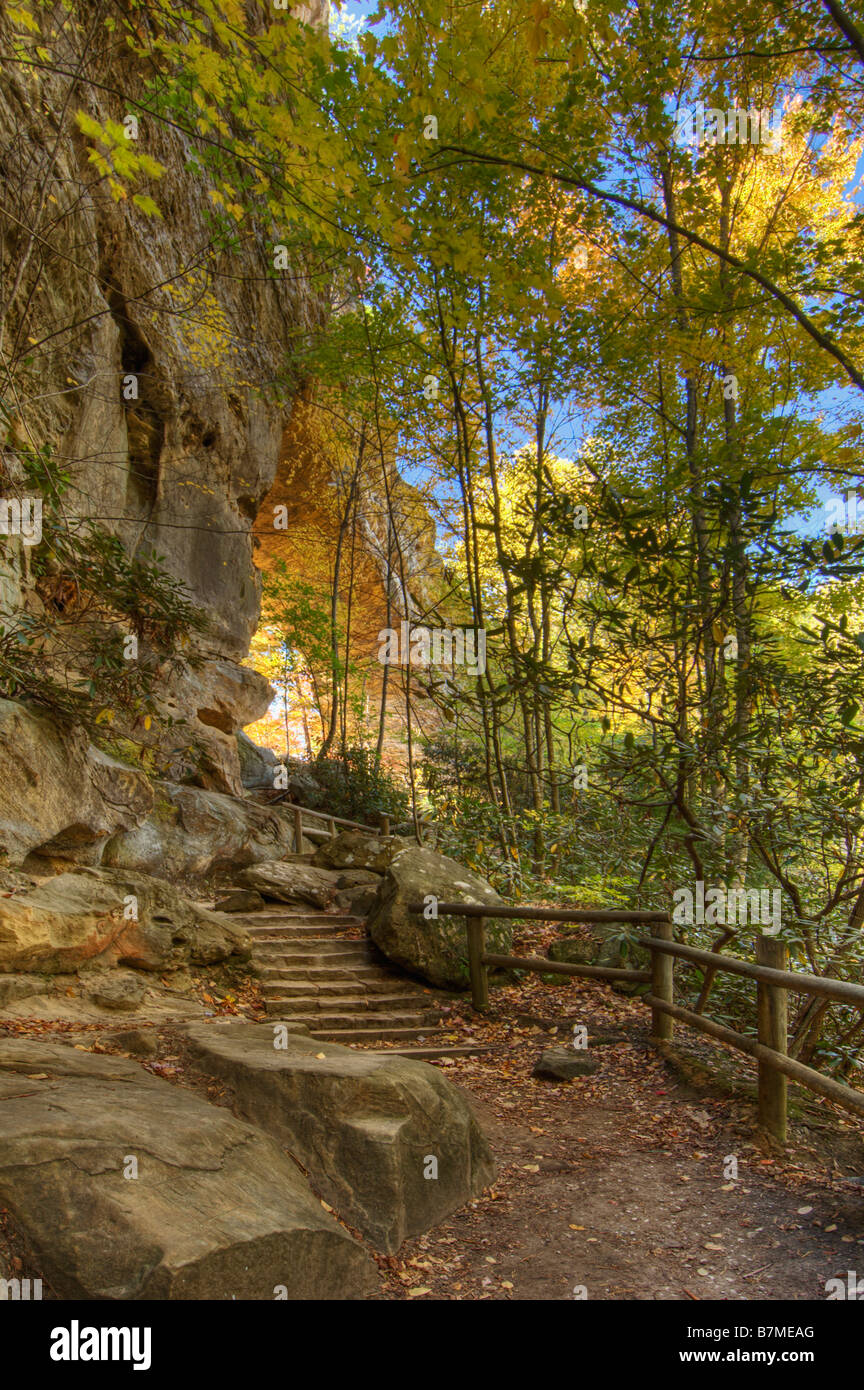 Trail Leading to Natural Bridge Arch in Natural Bridge State Park Kentucky Stock Photo