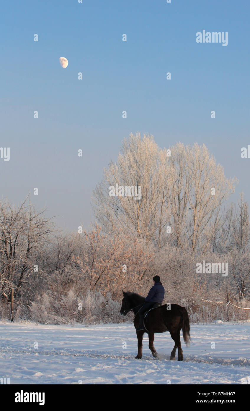 The woman travels a horseback on winter wood in the night Stock Photo
