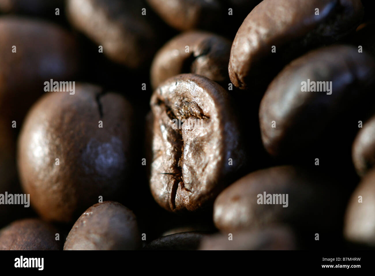 Macro picture of coffee beans Stock Photo - Alamy