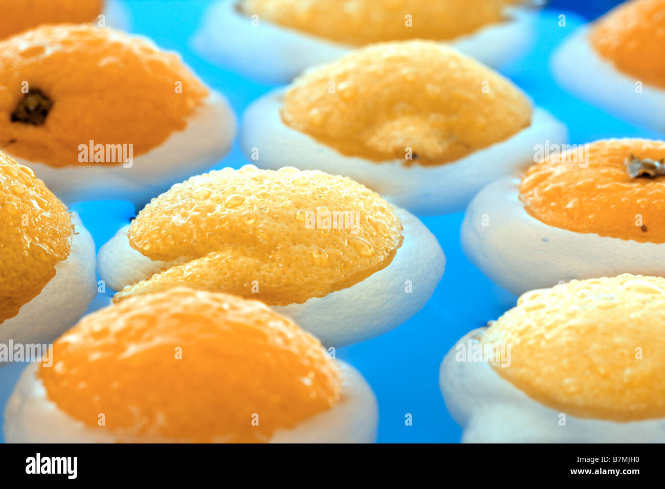 Oranges and lemons in water Stock Photo Alamy